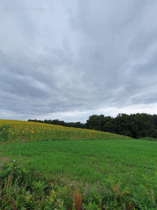 Terrain à SAULT-DE-NAVAILLES