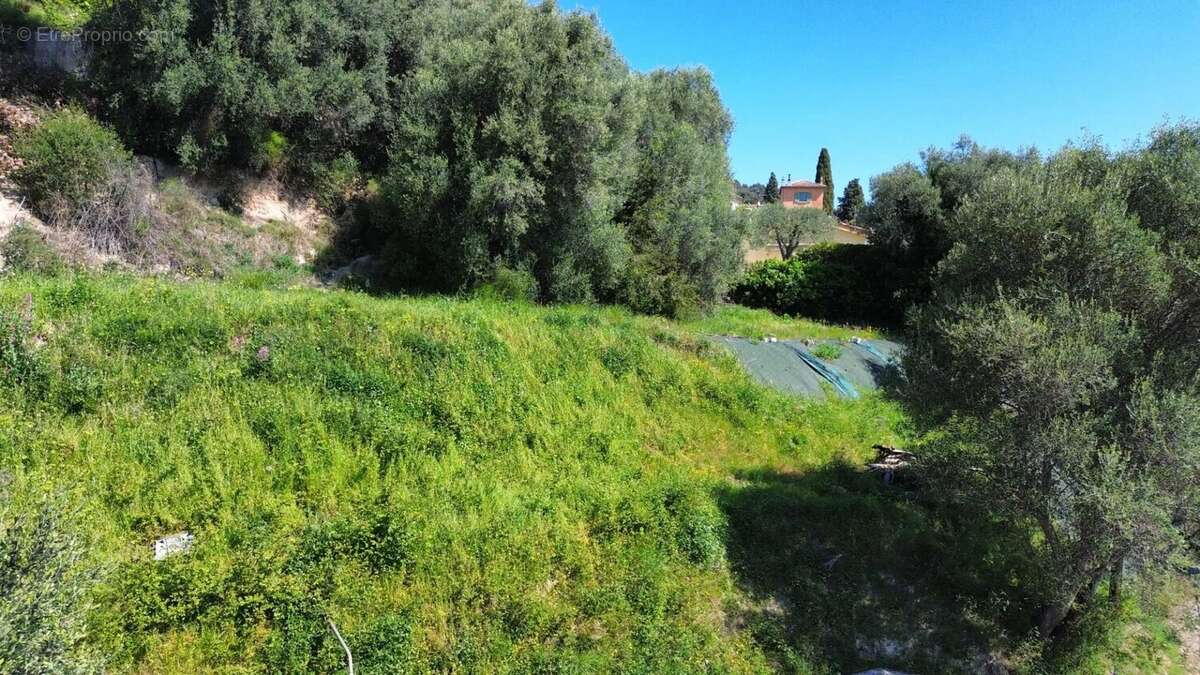 Terrain à NICE