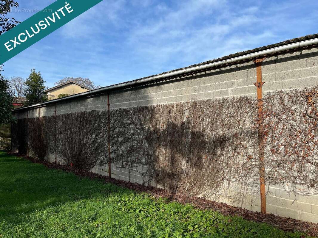 Photo 6 - Commerce à CASTILLONNES