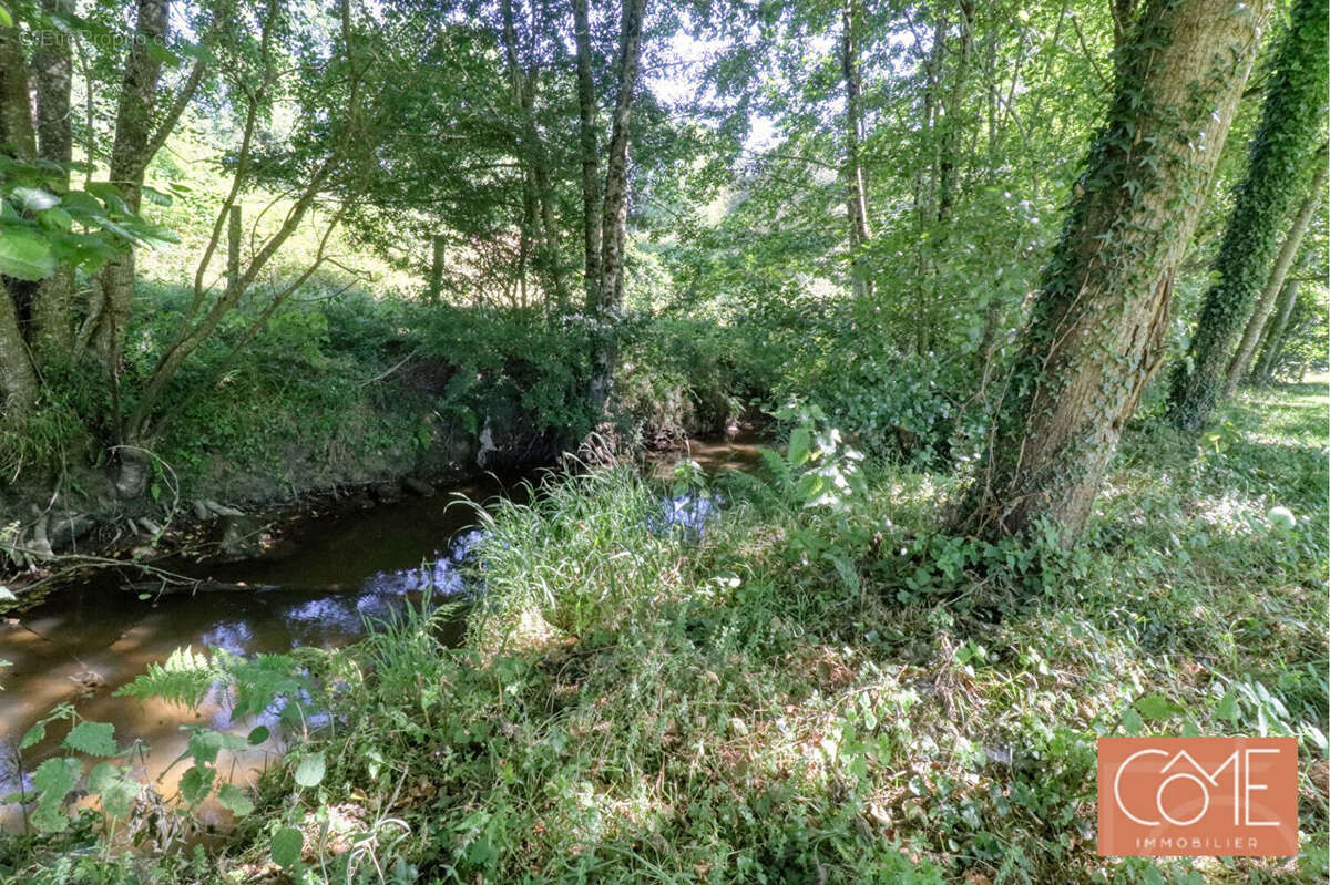 À vendre - saint-ouen-des-alleux (35140) - longère en pierre - 116 m² habitables - 3 chambres - terrain de plus d'1 hectare - ga - photo 12