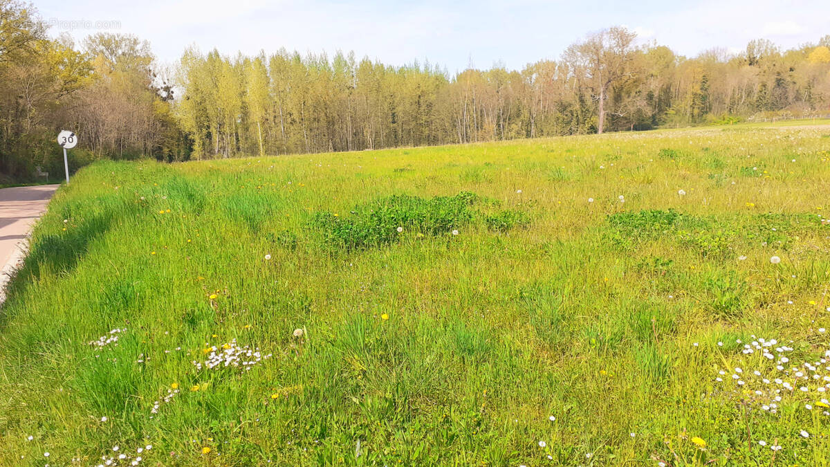 Terrain à FLEURY-LA-VALLEE