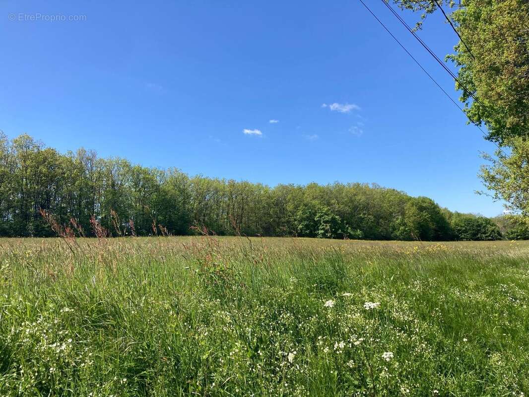 Photo 2 - Terrain à LE VIGAN