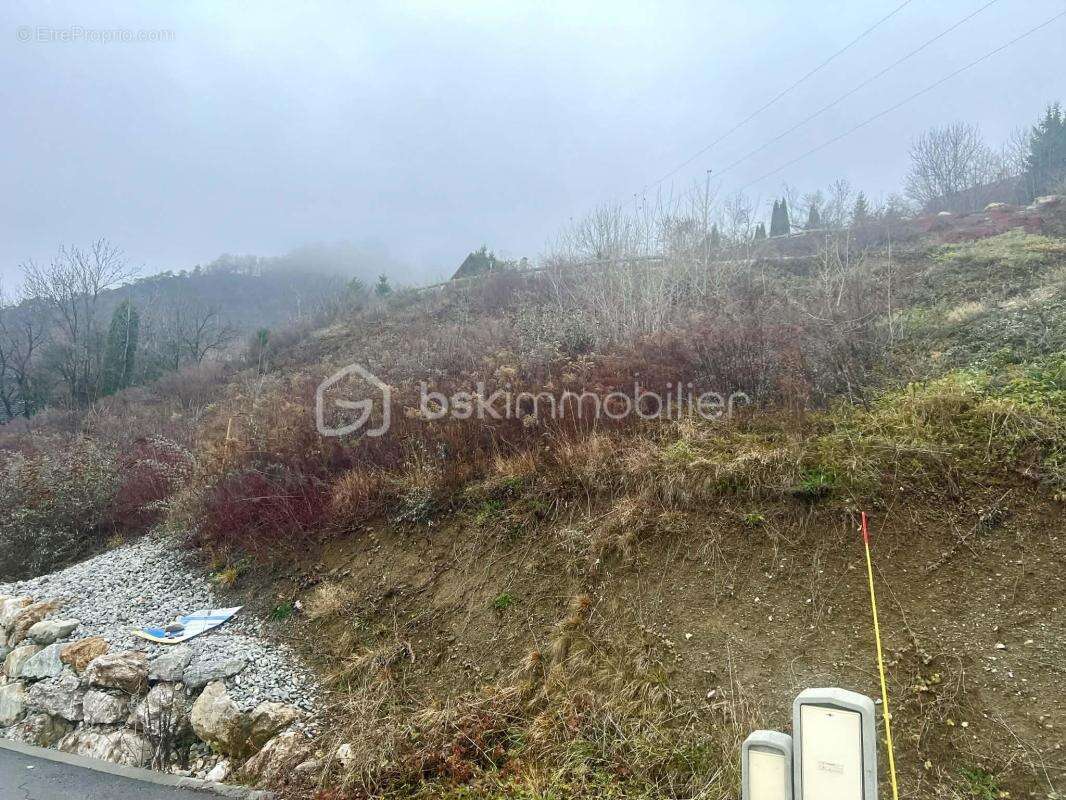 Terrain à SAINT-PANCRACE