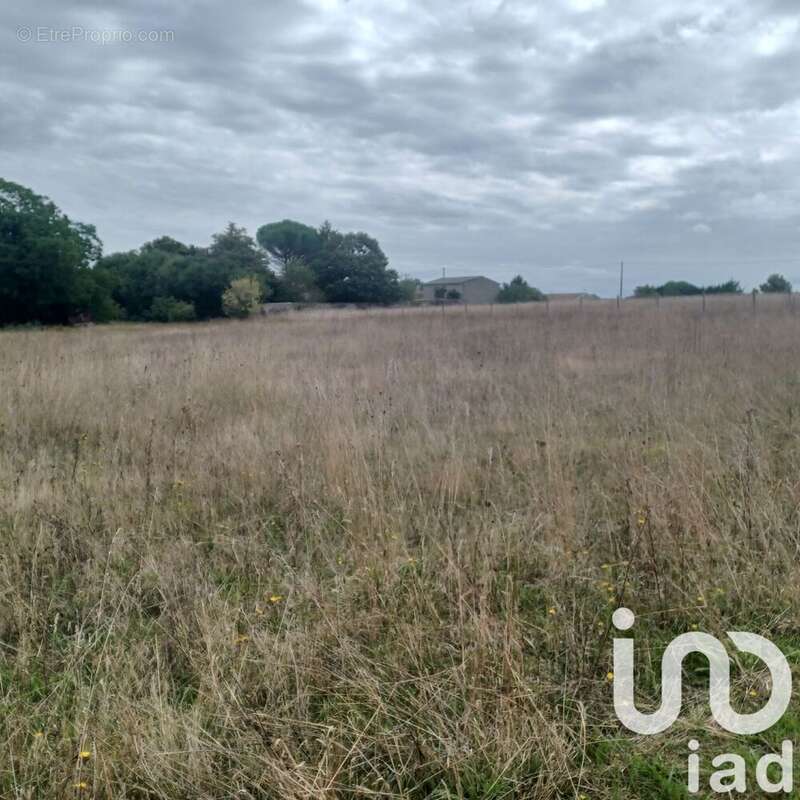 Photo 2 - Terrain à BELLUIRE
