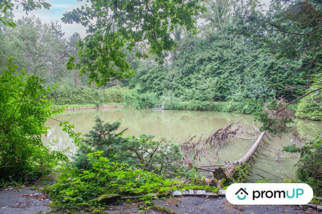 Terrain à COURMELLES