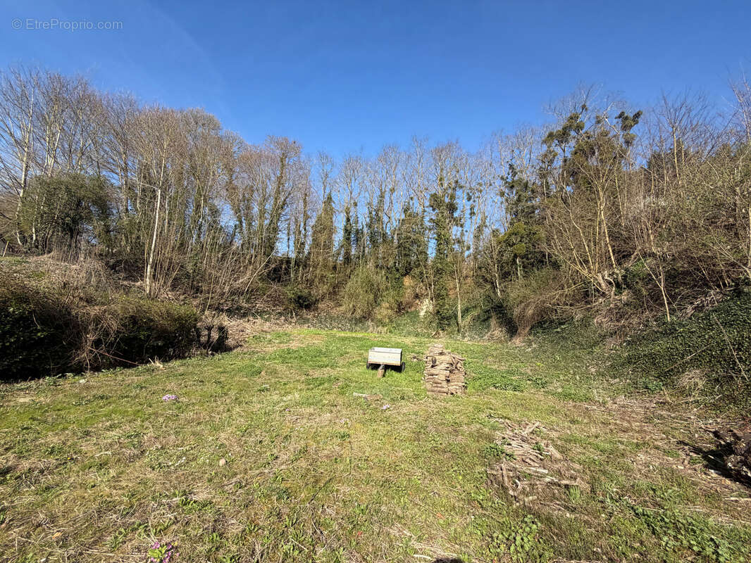 Terrain à LEVES