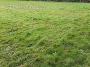 Terrain à MERLEVENEZ