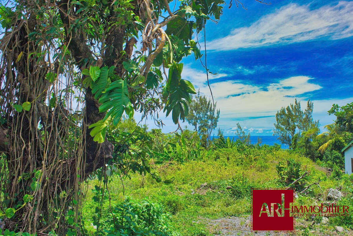 Terrain à SAINTE-ROSE