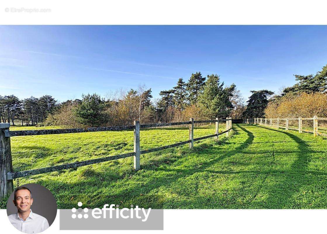 Maison à MONETAY-SUR-ALLIER