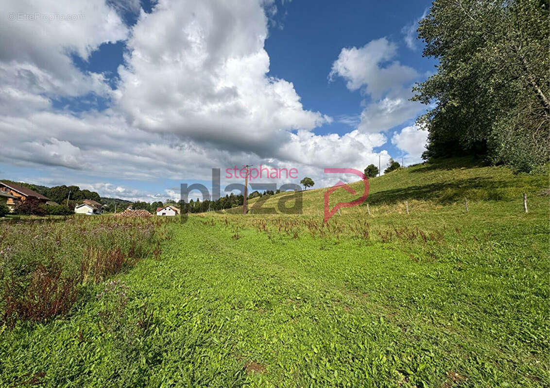 Terrain à FONCINE-LE-HAUT