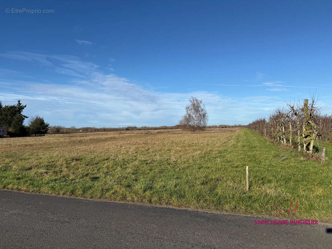 Terrain à MEZIERES-LEZ-CLERY