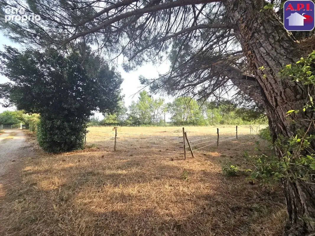 Maison 373 m² à Mazeres  - photo 5