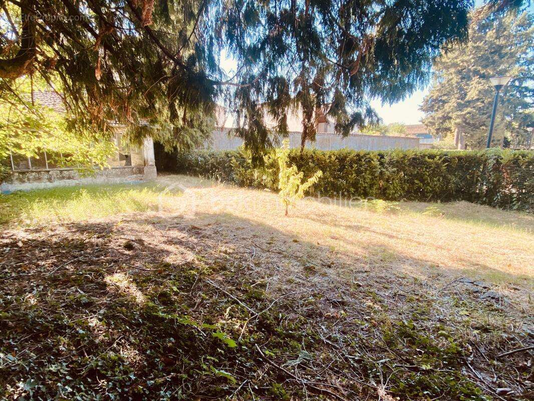 Terrain à vendre en plein cœur de Dagneux! - photo 3
