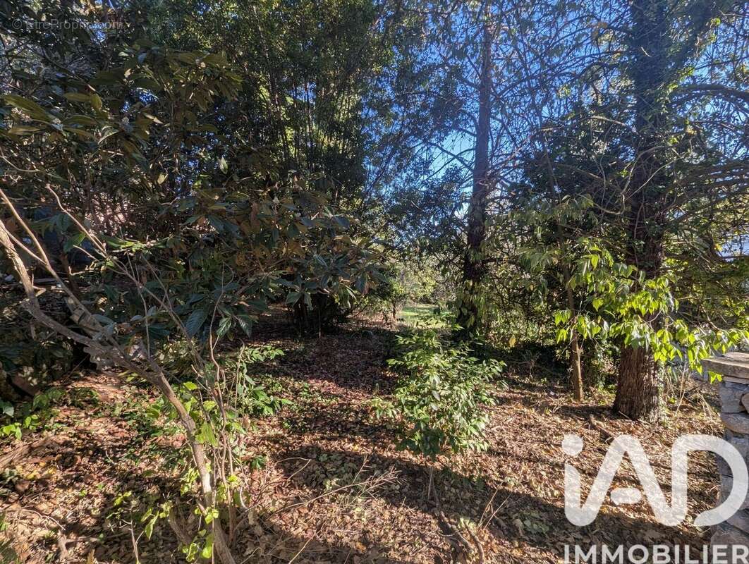 Photo 3 - Terrain à PEYMEINADE