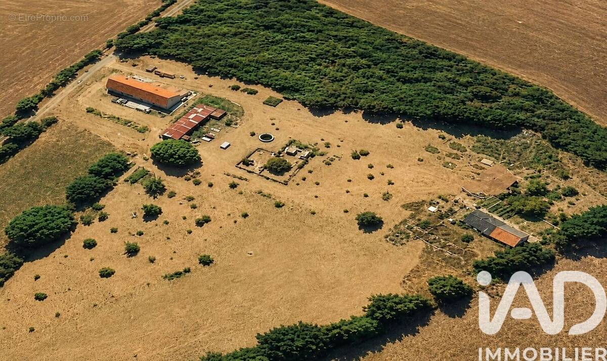 Photo 1 - Maison à BRIARE