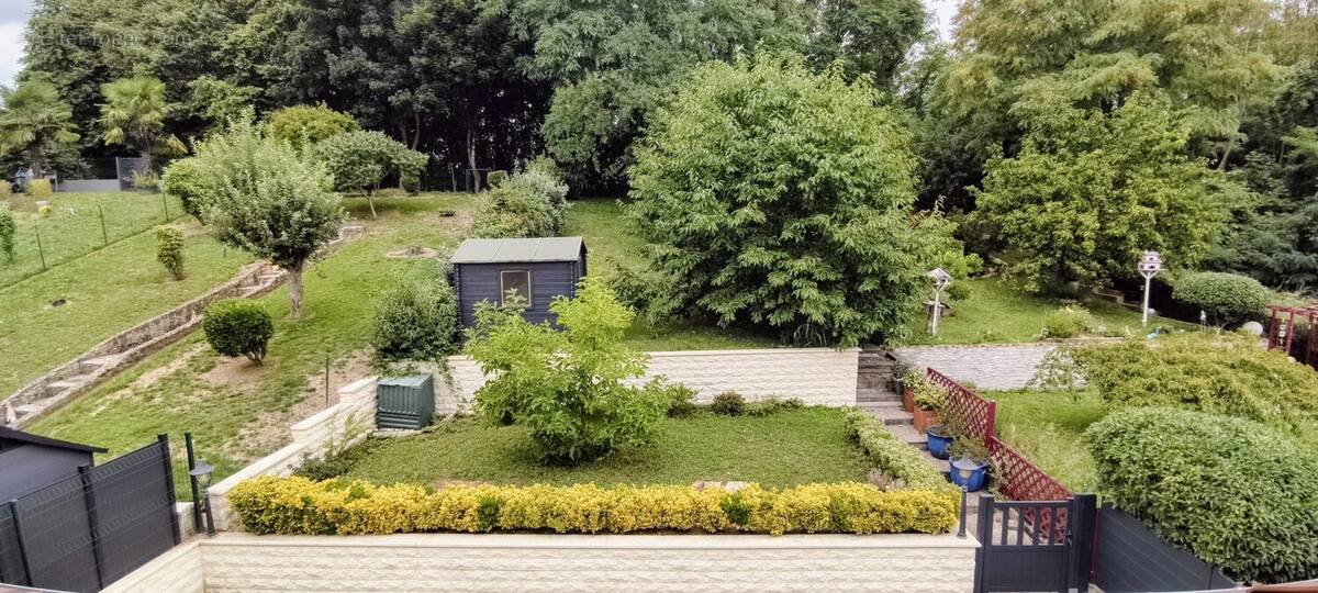 Jardin - Maison à SAINT-THIBAULT-DES-VIGNES