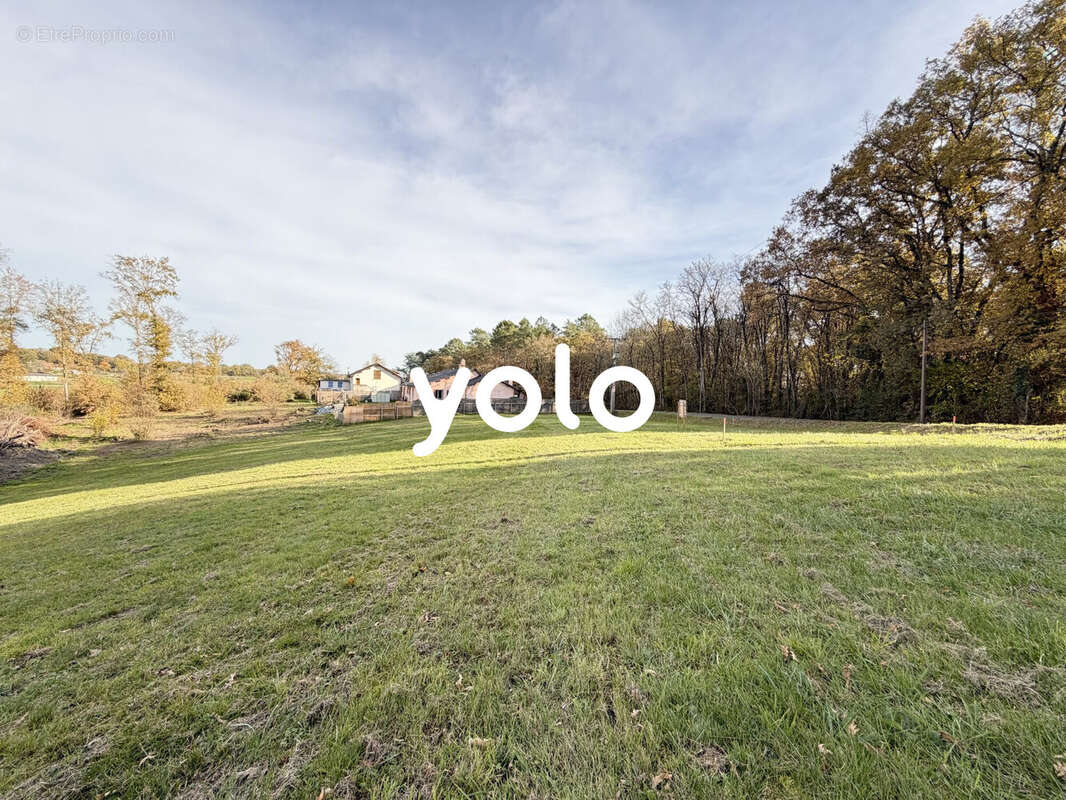 Terrain à MILHAC-D&#039;AUBEROCHE