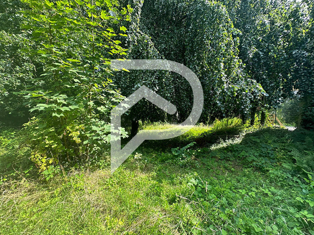 Terrain à MONTGE-EN-GOELE