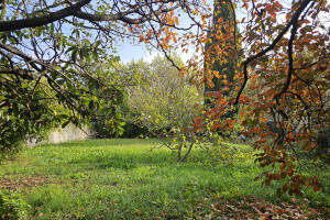 Terrain à SAINT-REMY-DE-PROVENCE