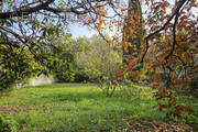 Terrain à SAINT-REMY-DE-PROVENCE