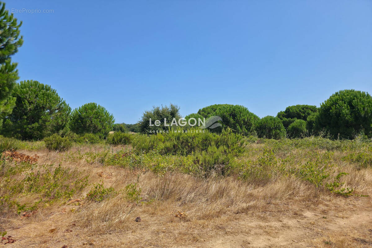 Terrain 468 m² · à Latour-Bas-Elne · 468 m² · 239 000 €
