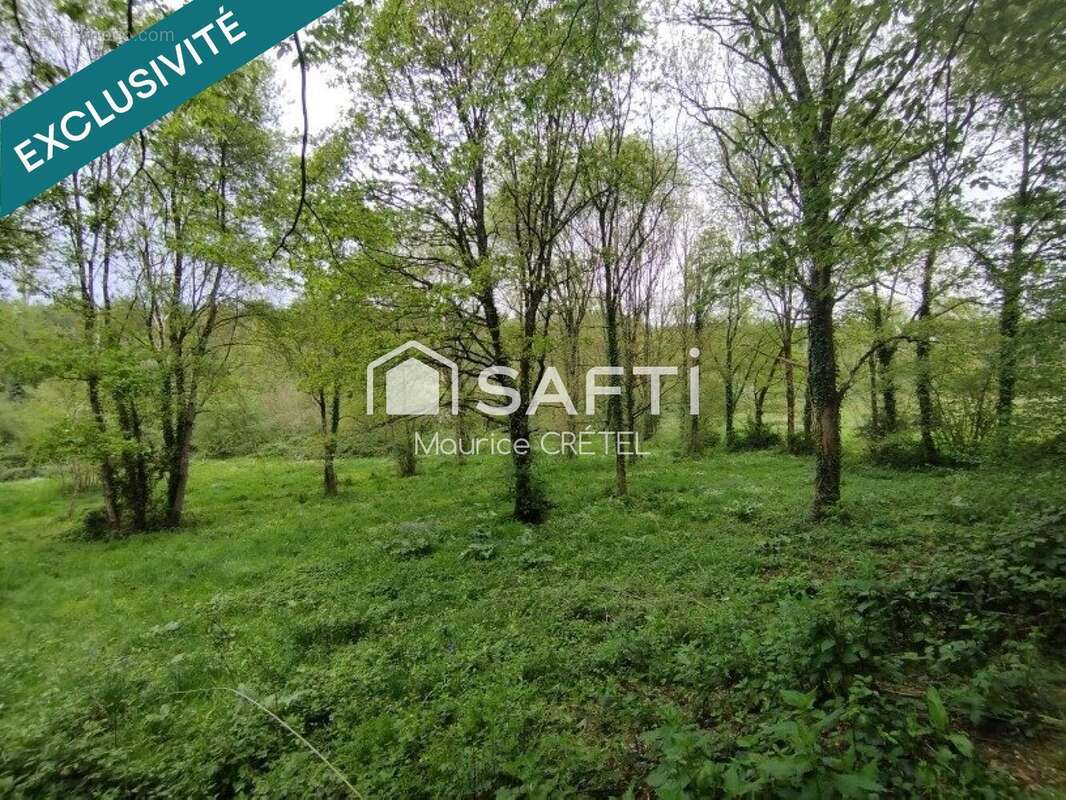 Photo 3 - Terrain à MONTAIGU