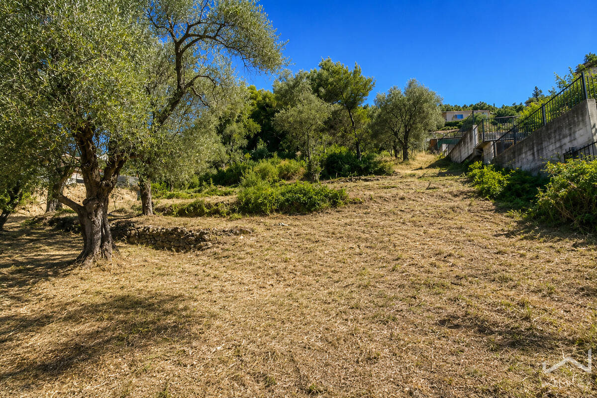 Terrain à SAINT-MARTIN-DU-VAR