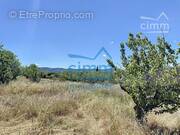 Terrain à MALEMORT-DU-COMTAT