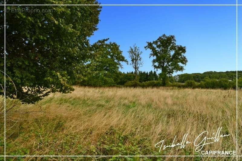 Maison à SAINT-SATURNIN