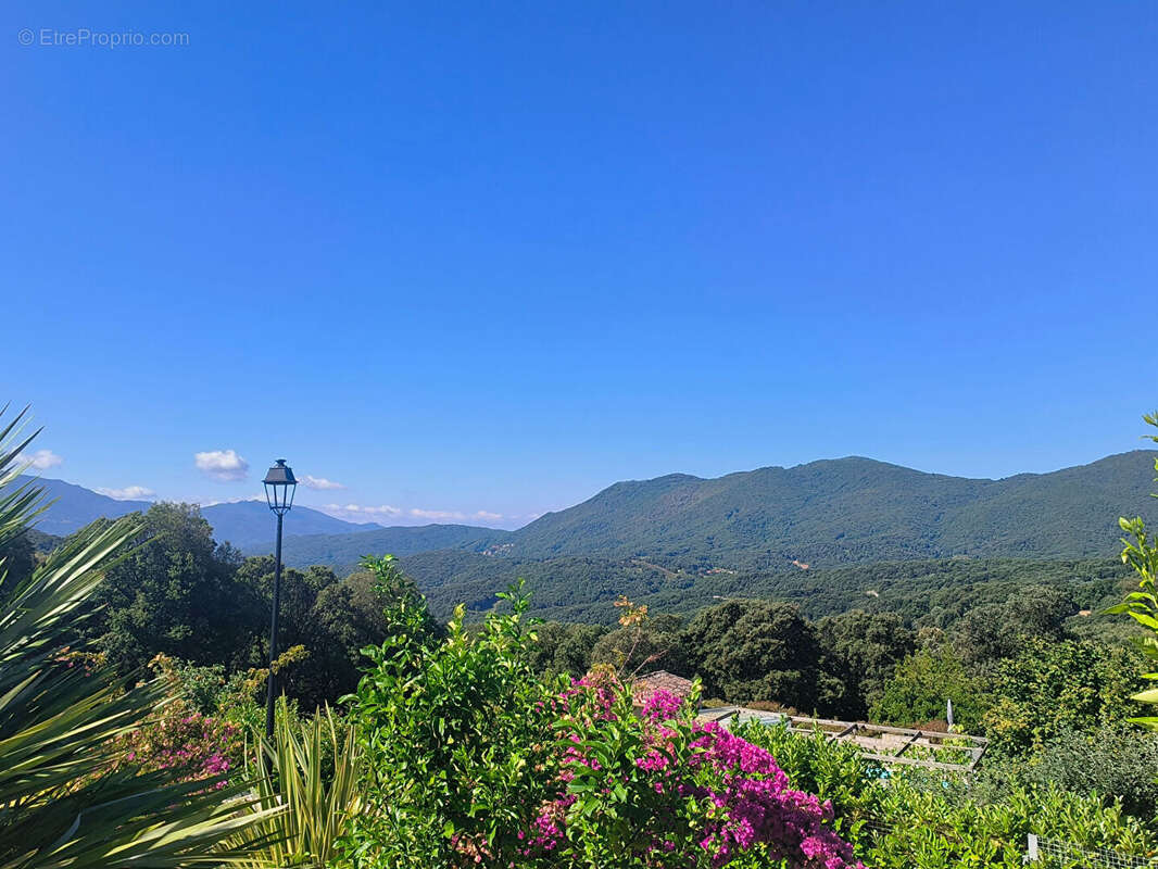 Maison à CARDO-TORGIA