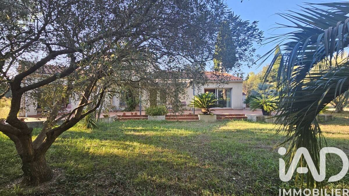 Photo 1 - Maison à MILLAS