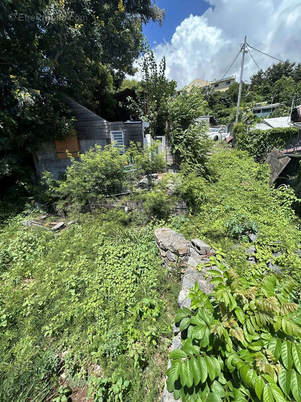 Terrain à SAINT-DENIS