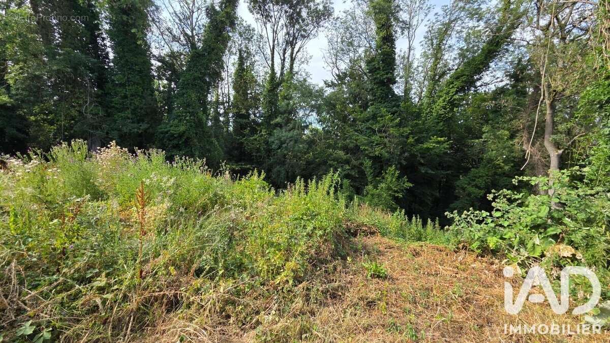 Maison 59 m² à Saint-Cyr-Sur-Morin  - photo 7