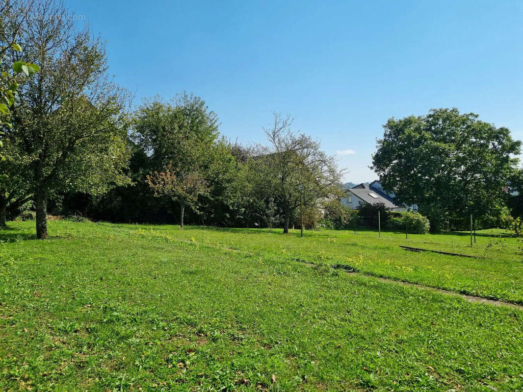 Terrain 704 m² à Sarrebourg  - photo 2
