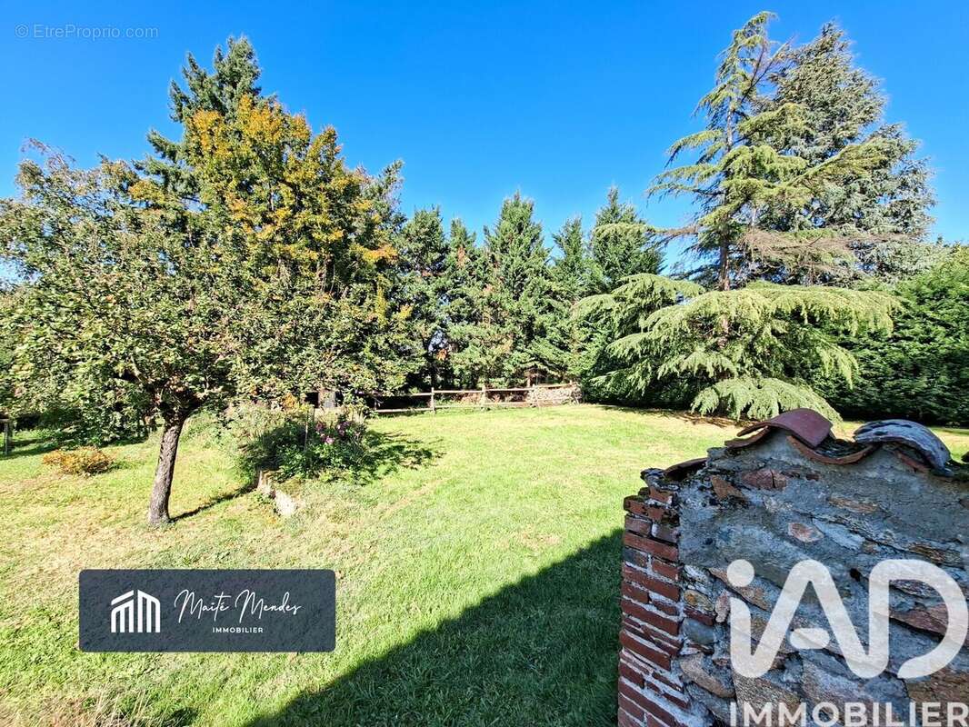 Photo 6 - Maison à ANDREZIEUX-BOUTHEON