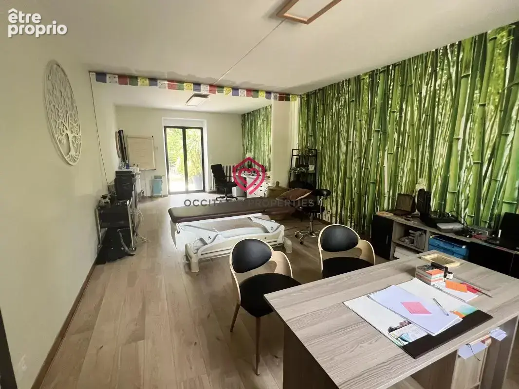 Élégante propriété de caractère renovée avec, jardin clos et gîtes aux portes de Castelnaudary - photo 29