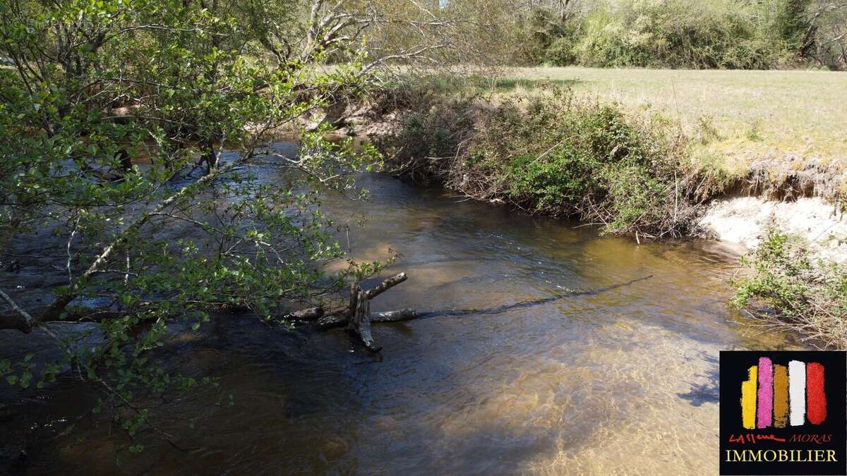 Maison à SAINT-MICHEL-ESCALUS