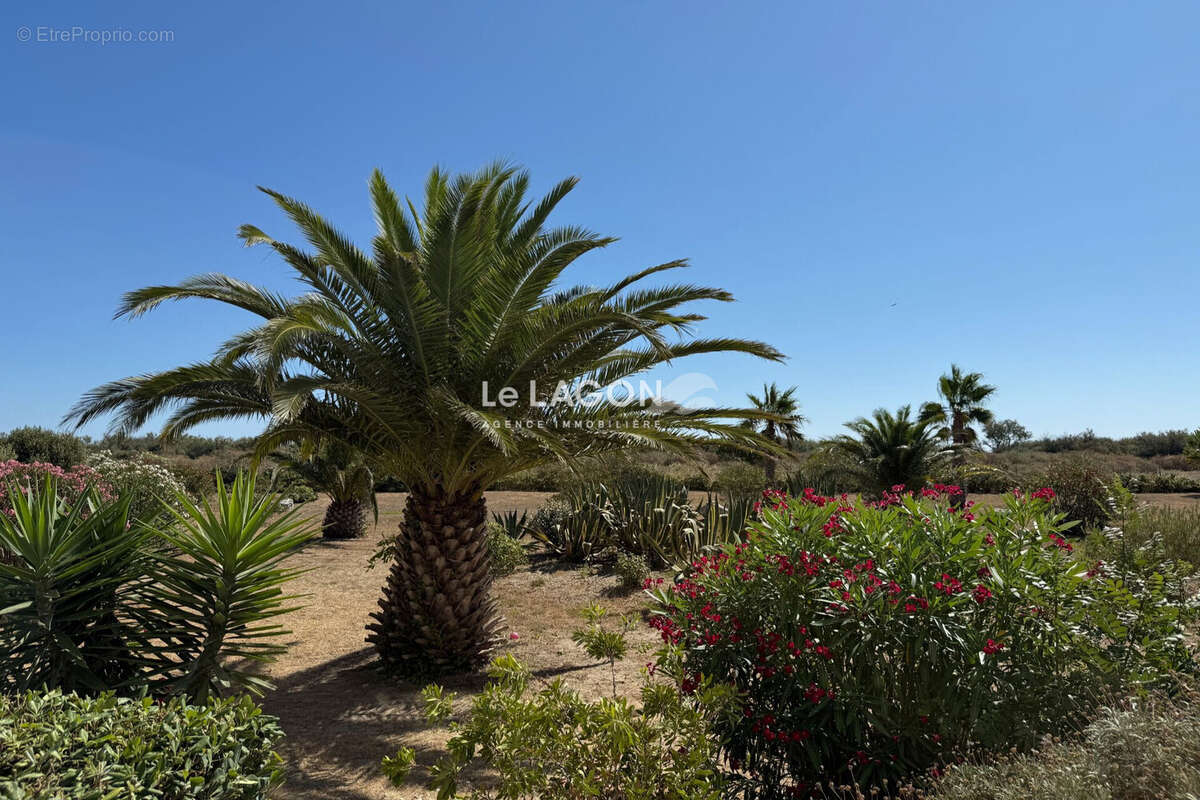 Appartement à SAINT-CYPRIEN
