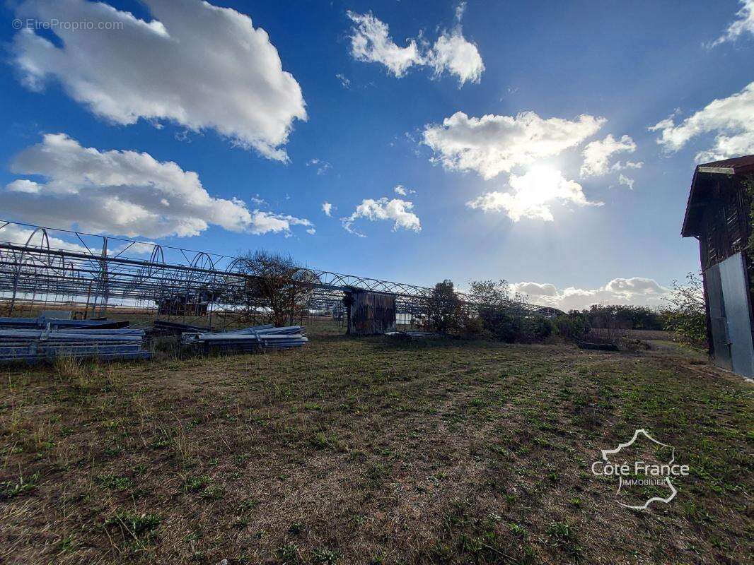 Terrain à LONGUEVILLE