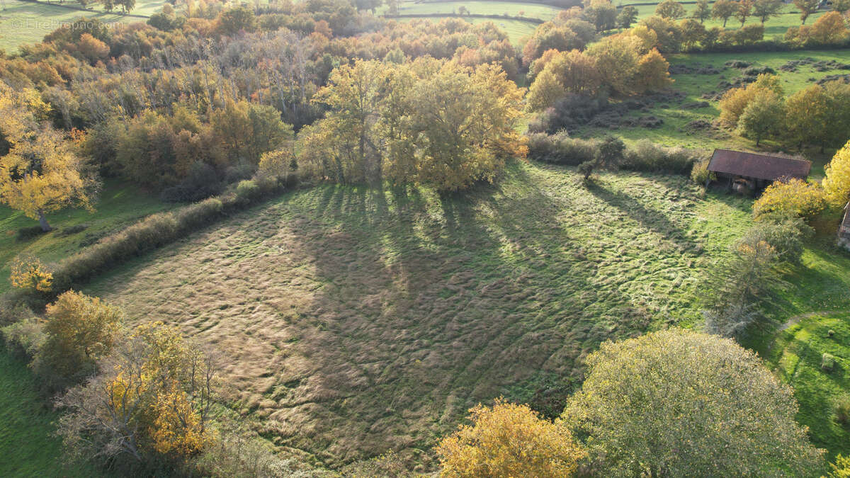 Maison à LA CHAPELAUDE