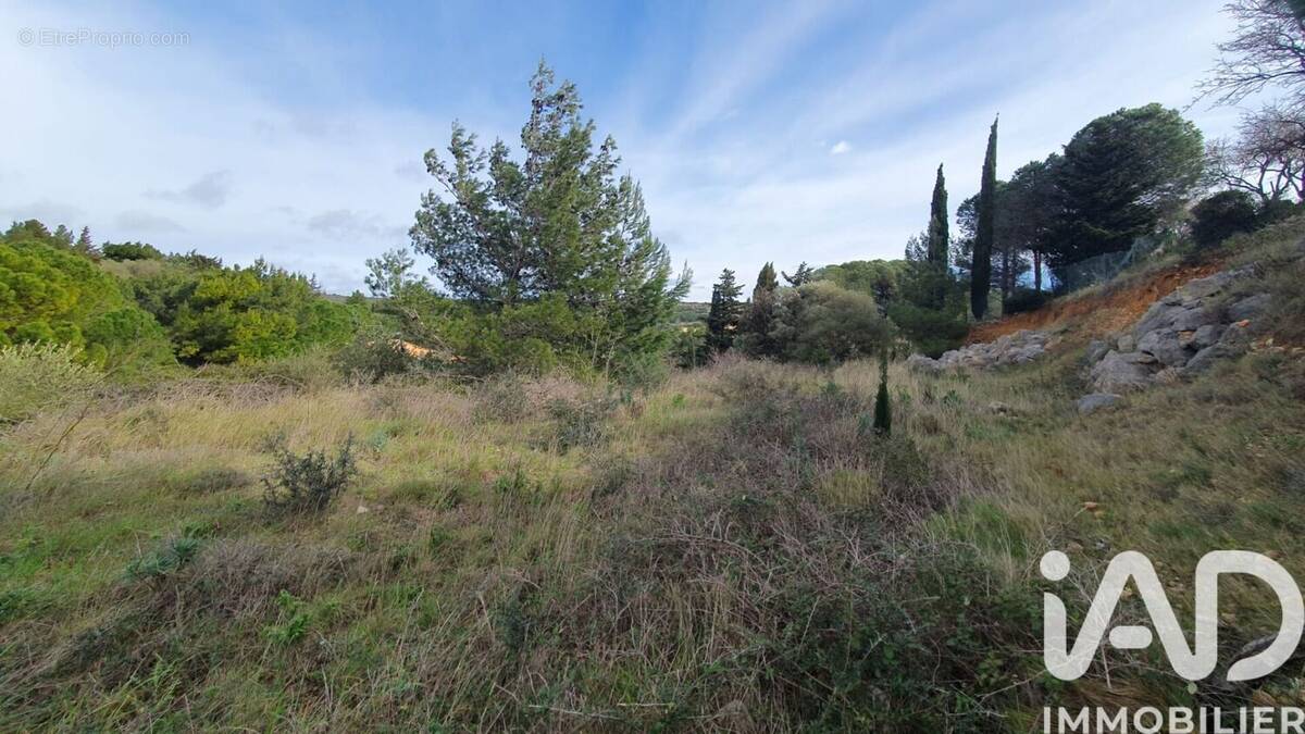 Photo 1 - Terrain à LA PALME