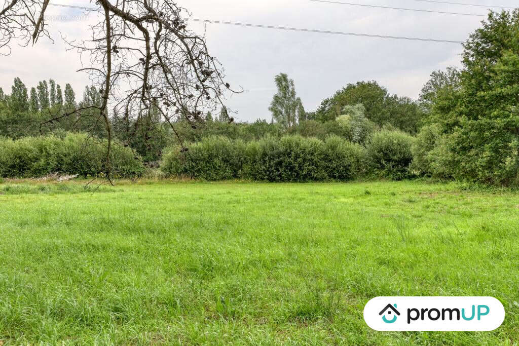 Terrain à SAINT-MARS-LA-BRIERE