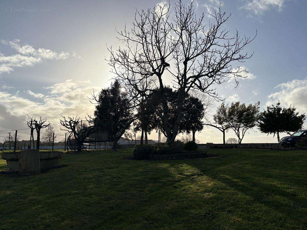 Maison à SAUVETERRE-DE-GUYENNE