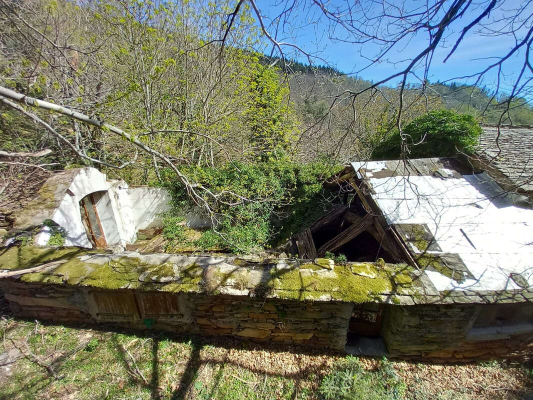 Unique ! ancienne Ferme à rénover sur 15Ha de patures et bois . - photo 12