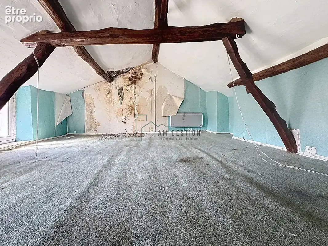 Ensemble immobilier à fort potentiel au coeur de Panazol - photo 9