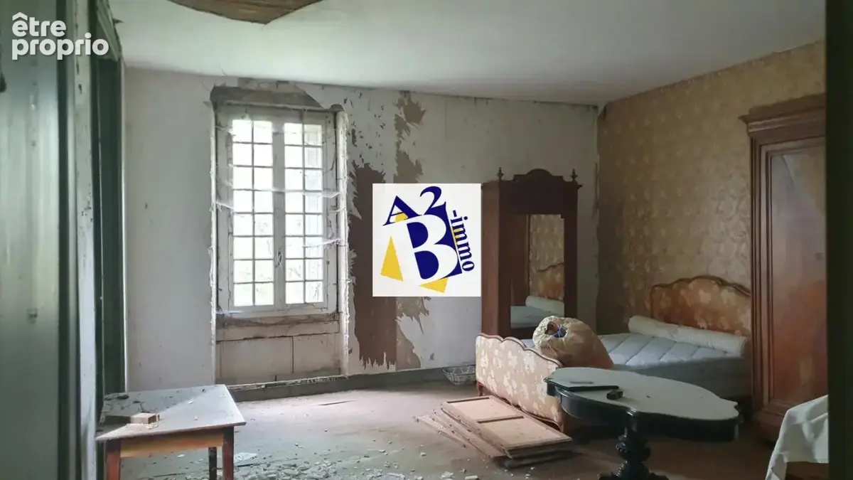 10 Min Cognac, Maison de Maitre à rénovée, dépendances - photo 4