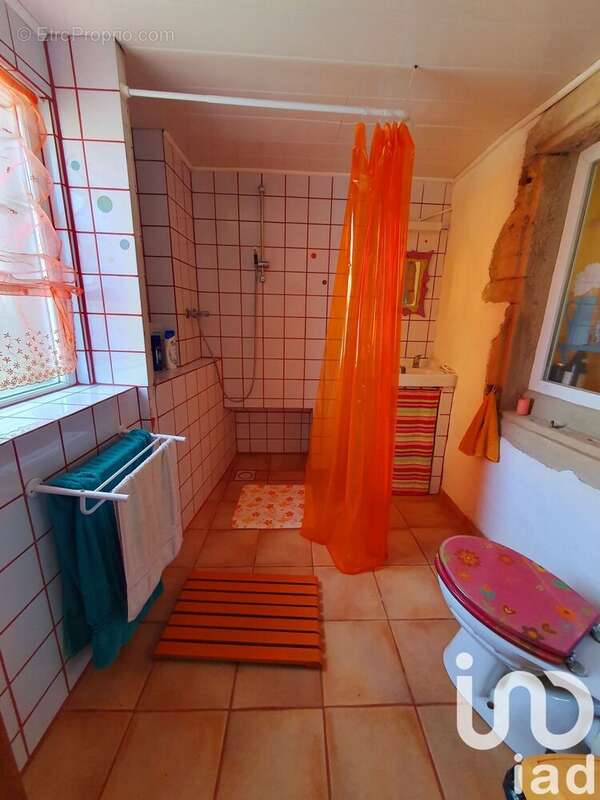 Photo 4 - Maison à TAUSSAC-LA-BILLIERE