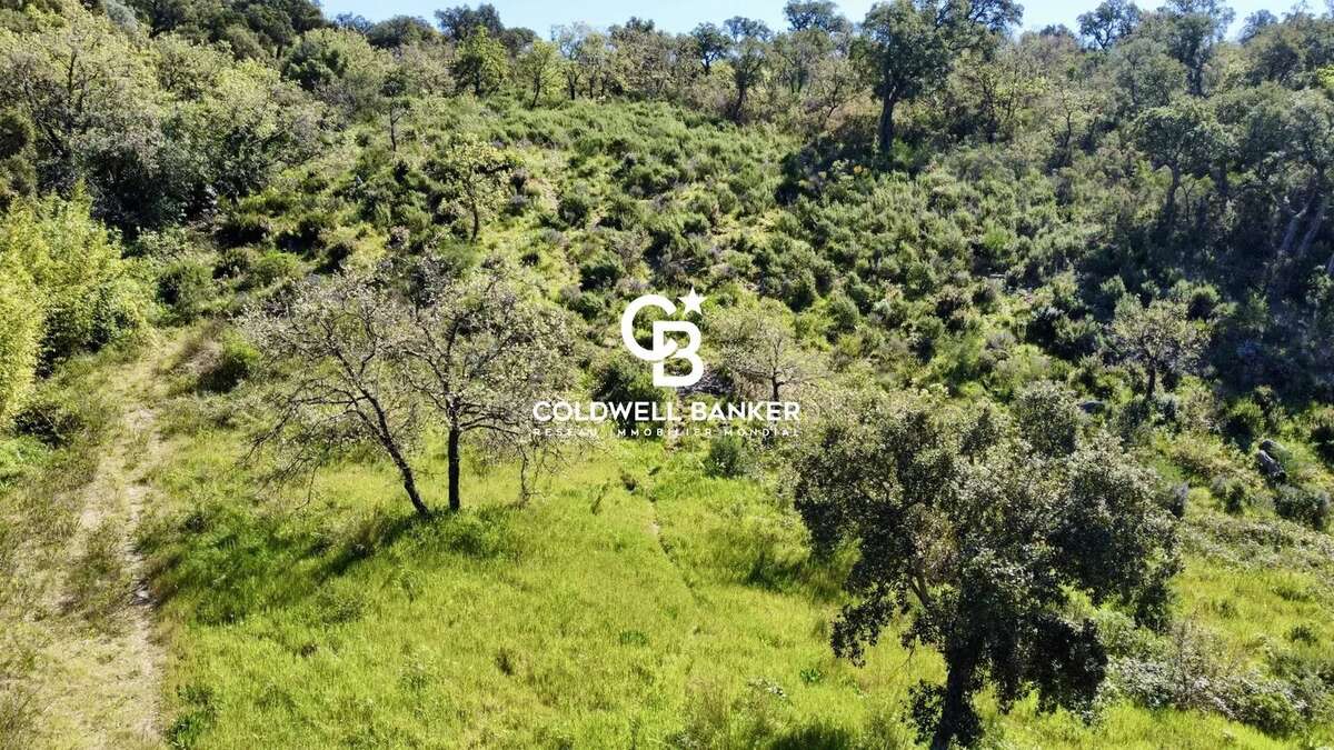 Terrain à GRIMAUD