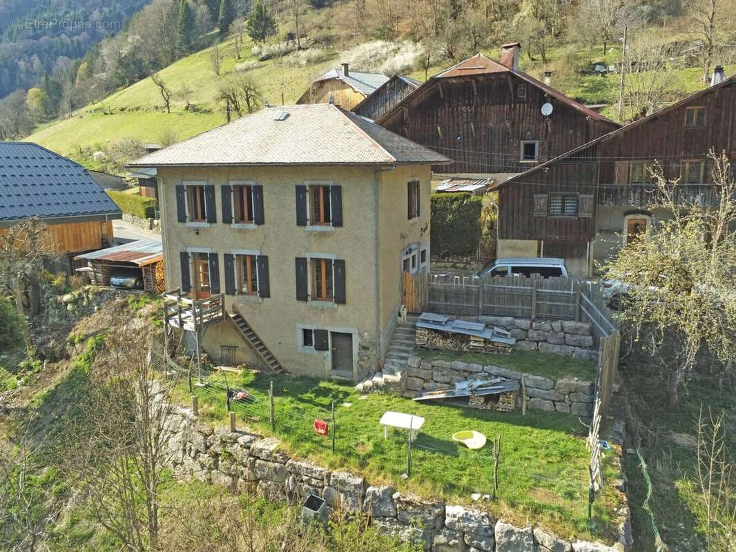 Maison à TANINGES