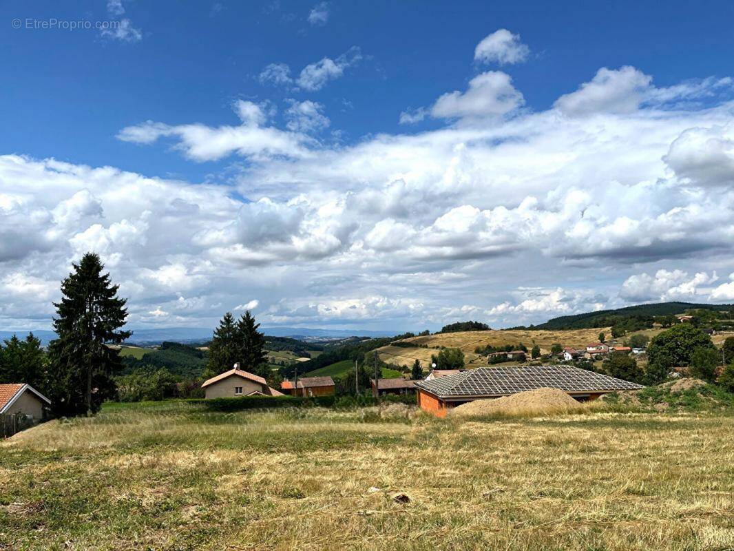 Terrain à VIOLAY